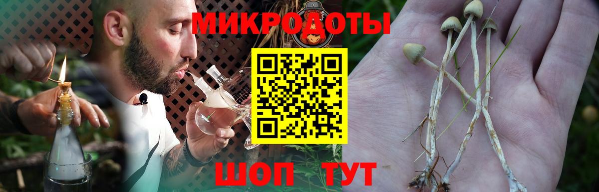 Псилоцибиновые грибы MAGIC MUSHROOMS  Галлюциногенные грибы Psilocybine cubensis  Вход с VPN  Барабинск 